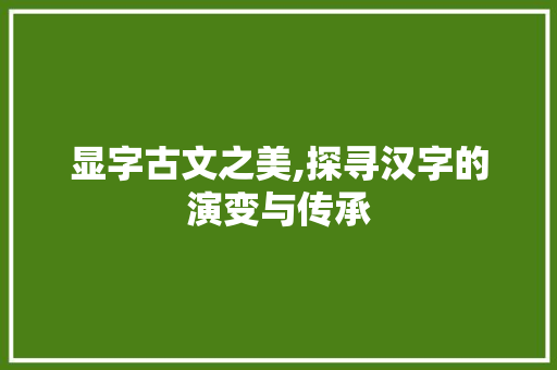 显字古文之美,探寻汉字的演变与传承