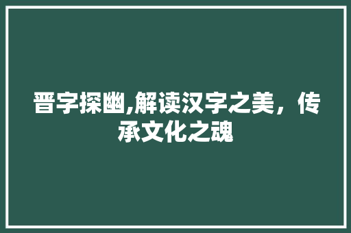 晋字探幽,解读汉字之美，传承文化之魂