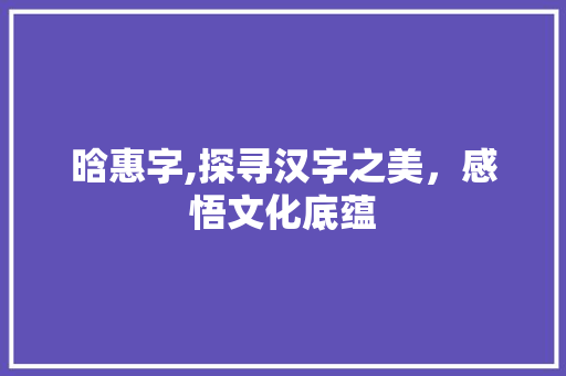 晗惠字,探寻汉字之美，感悟文化底蕴