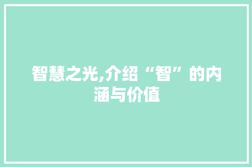 智慧之光,介绍“智”的内涵与价值