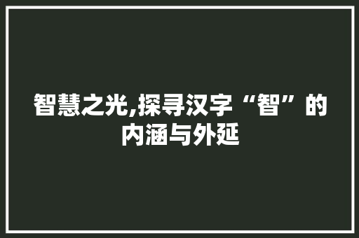 智慧之光,探寻汉字“智”的内涵与外延