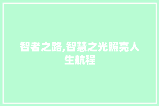 智者之路,智慧之光照亮人生航程