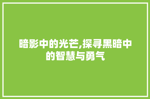 暗影中的光芒,探寻黑暗中的智慧与勇气 成语汇编