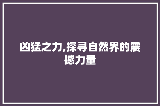 凶猛之力,探寻自然界的震撼力量