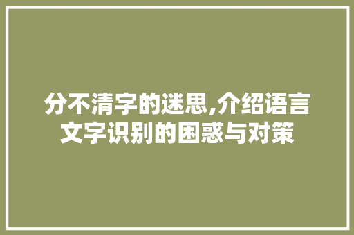 分不清字的迷思,介绍语言文字识别的困惑与对策 短语