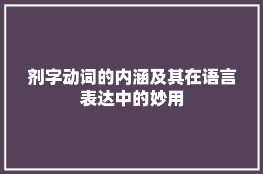 剂字动词的内涵及其在语言表达中的妙用