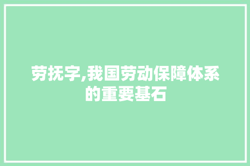 劳抚字,我国劳动保障体系的重要基石