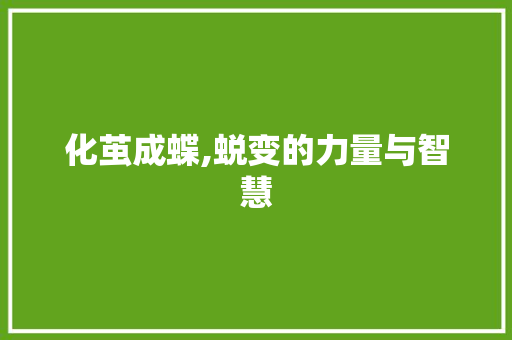 化茧成蝶,蜕变的力量与智慧