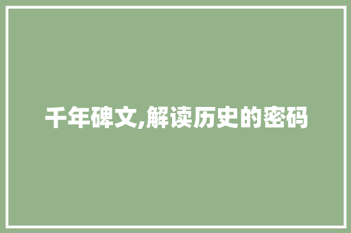 千年碑文,解读历史的密码