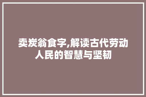 卖炭翁食字,解读古代劳动人民的智慧与坚韧