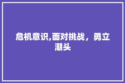 危机意识,面对挑战，勇立潮头 汉字拼音