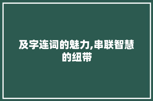及字连词的魅力,串联智慧的纽带