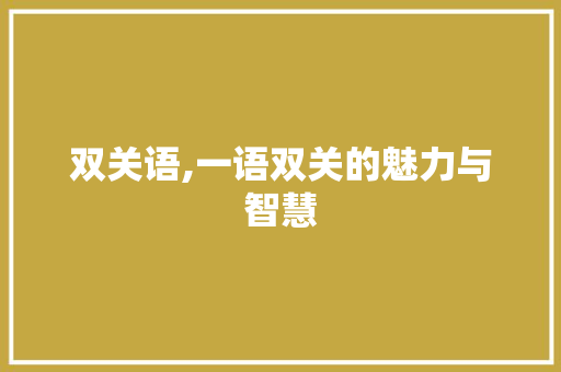 双关语,一语双关的魅力与智慧