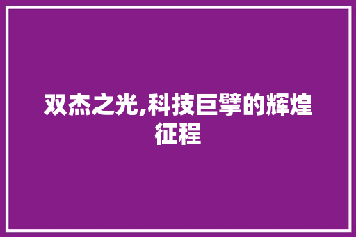 双杰之光,科技巨擘的辉煌征程