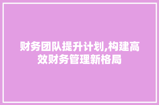 财务团队提升计划,构建高效财务管理新格局