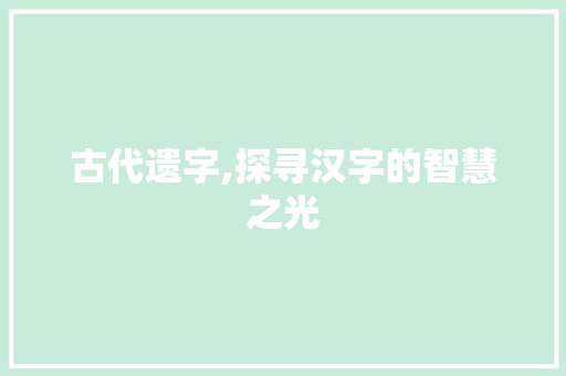 古代遗字,探寻汉字的智慧之光