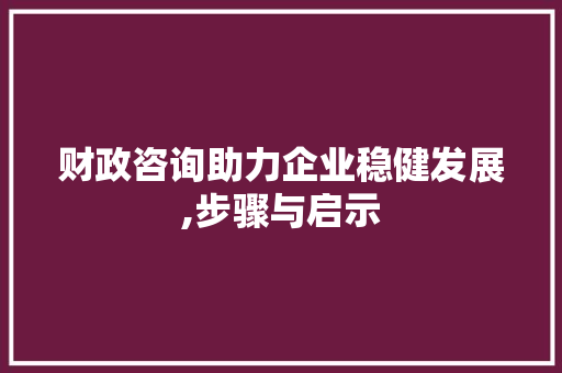 财政咨询助力企业稳健发展,步骤与启示