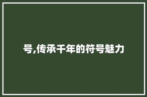 号,传承千年的符号魅力