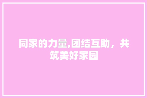 同家的力量,团结互助，共筑美好家园