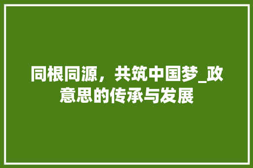 同根同源，共筑中国梦_政意思的传承与发展
