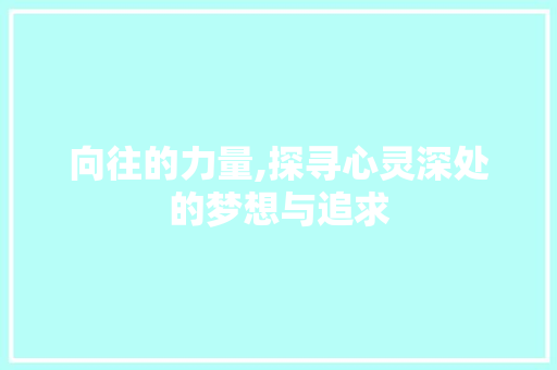 向往的力量,探寻心灵深处的梦想与追求