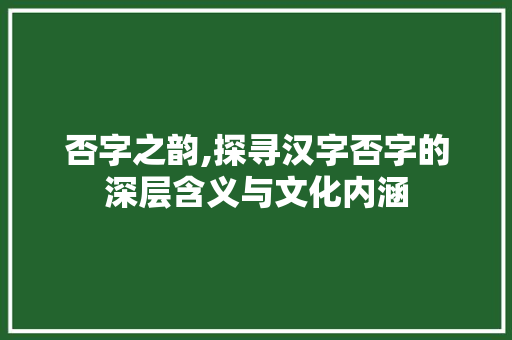 否字之韵,探寻汉字否字的深层含义与文化内涵 近义词汇