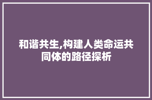 和谐共生,构建人类命运共同体的路径探析