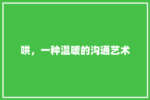 哄，一种温暖的沟通艺术