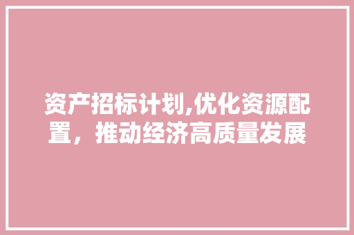资产招标计划,优化资源配置，推动经济高质量发展
