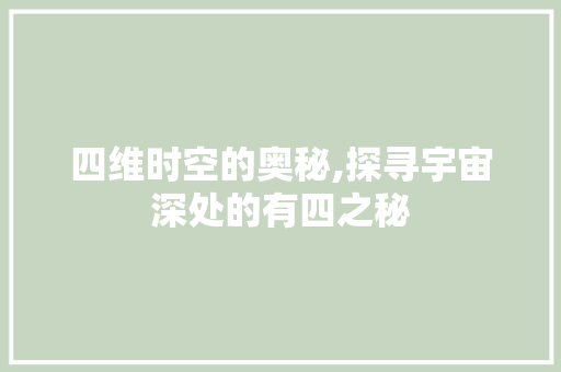四维时空的奥秘,探寻宇宙深处的有四之秘 近义词汇