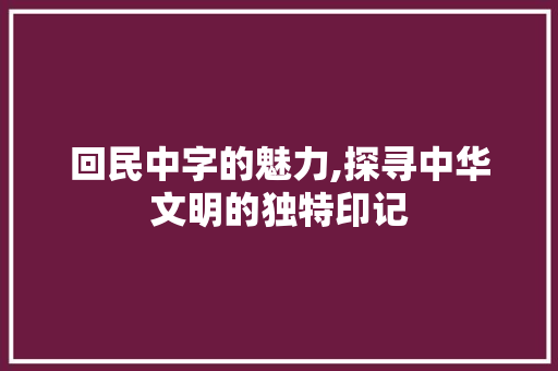 回民中字的魅力,探寻中华文明的独特印记