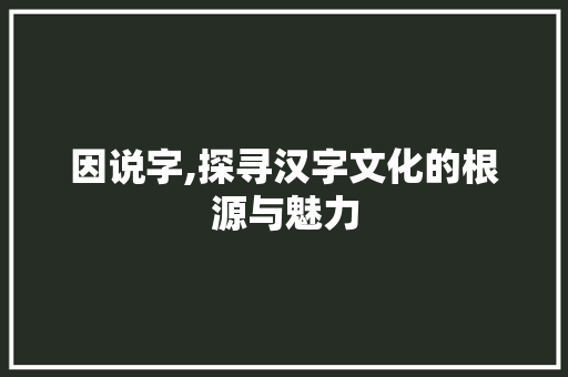 因说字,探寻汉字文化的根源与魅力