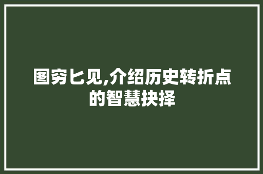 图穷匕见,介绍历史转折点的智慧抉择