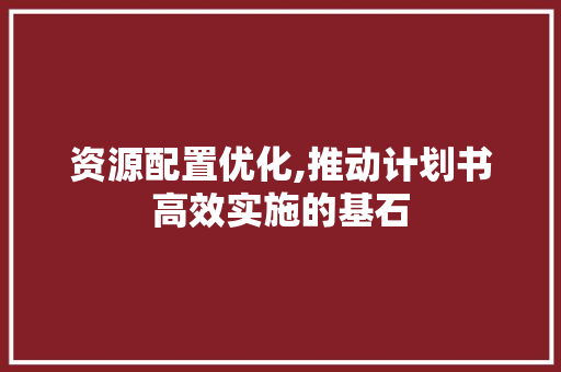资源配置优化,推动计划书高效实施的基石
