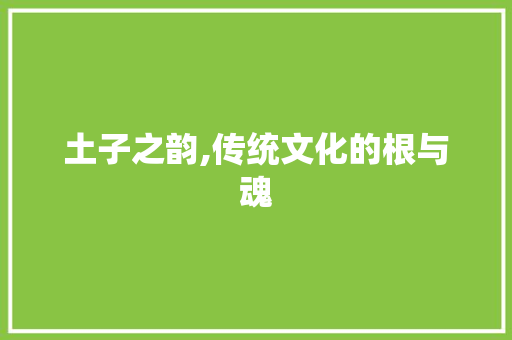 土子之韵,传统文化的根与魂