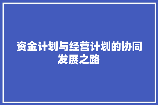 资金计划与经营计划的协同发展之路