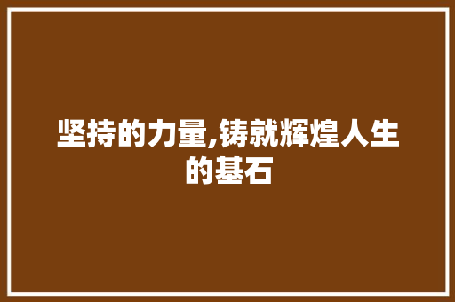 坚持的力量,铸就辉煌人生的基石