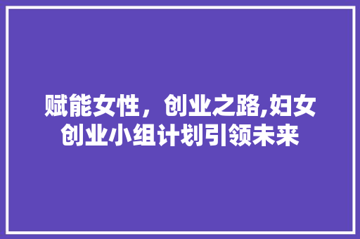 赋能女性，创业之路,妇女创业小组计划引领未来