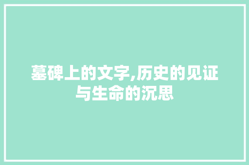 墓碑上的文字,历史的见证与生命的沉思 反义词汇