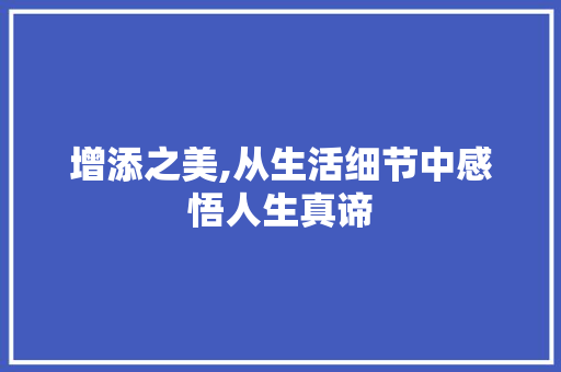 增添之美,从生活细节中感悟人生真谛
