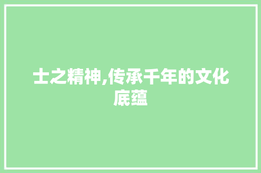 士之精神,传承千年的文化底蕴