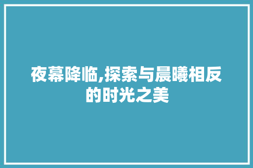 夜幕降临,探索与晨曦相反的时光之美