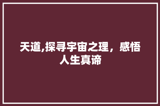 天道,探寻宇宙之理，感悟人生真谛 问答