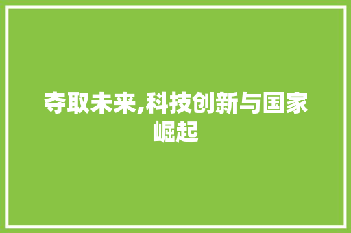 夺取未来,科技创新与国家崛起