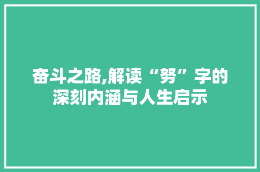 奋斗之路,解读“努”字的深刻内涵与人生启示