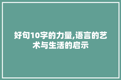 好句10字的力量,语言的艺术与生活的启示