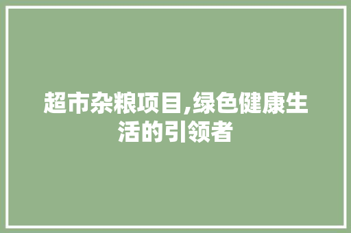 超市杂粮项目,绿色健康生活的引领者