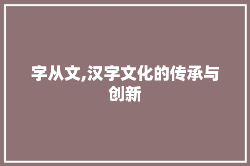 字从文,汉字文化的传承与创新