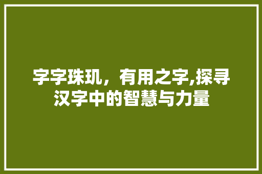 字字珠玑，有用之字,探寻汉字中的智慧与力量 问答
