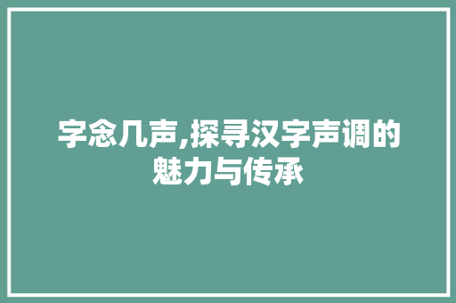 字念几声,探寻汉字声调的魅力与传承